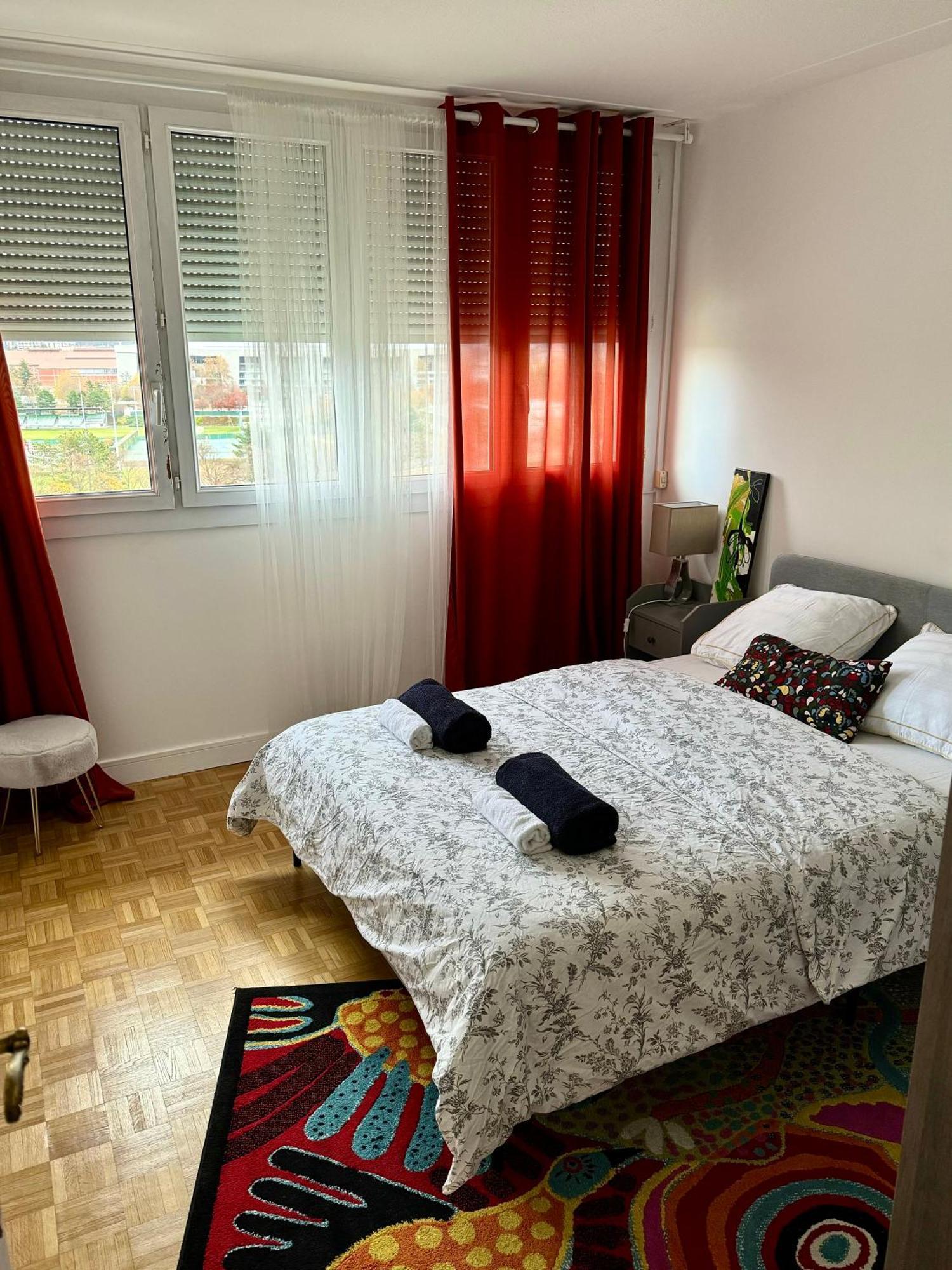 Bergson Top - Appart 80M2, 2 Grandes Chambres, Entierement Renovee Et Equipee, Lumineux, Wifi, Balcon, Calme, Vue Imprenable Сент-Етьєн Екстер'єр фото